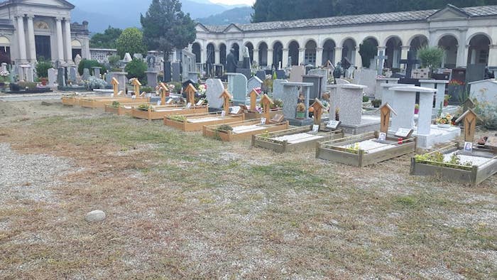 Cimiteri assediati dalle erbacce: monta la polemica, l'Amministrazione replica e avvia lo sfalcio