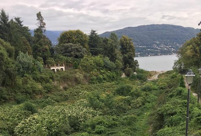 Baveno: il Selvaspessa invaso dalla vegetazione, interviene la Regione
