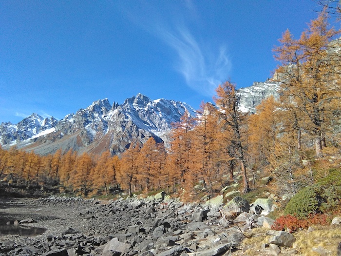 Giornata per il clima: il Comitato Tutela Devero aderisce alla protesta globale 