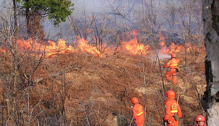 Incendio del bosco in Val Bognanco, intervento degli Aib e Vigili del fuoco