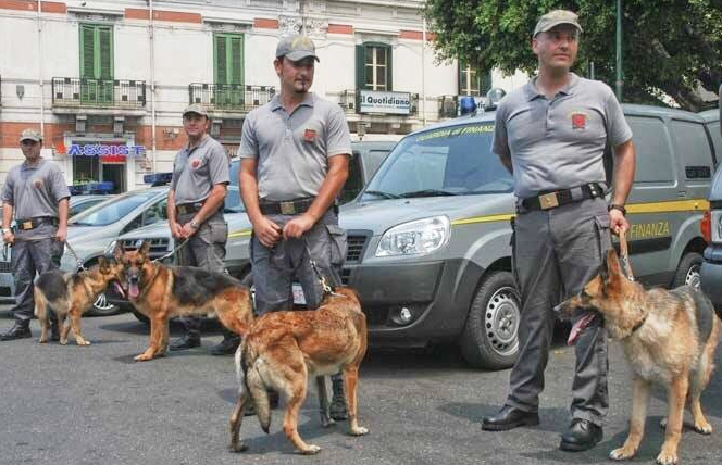 Dimostrazione con i cani antidroga della Guardia di Finanza agli alunni delle scuole di Varzo