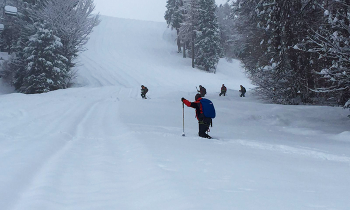 Valanga sulle piste a San Domenico, soccorso alpino in azione con l'unità cinofila
