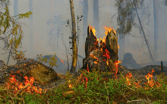 Rischio incendi molto elevato in Ossola. Bollettino dell'Arpa. In Vigezzo divieto d'accensione di fuochi