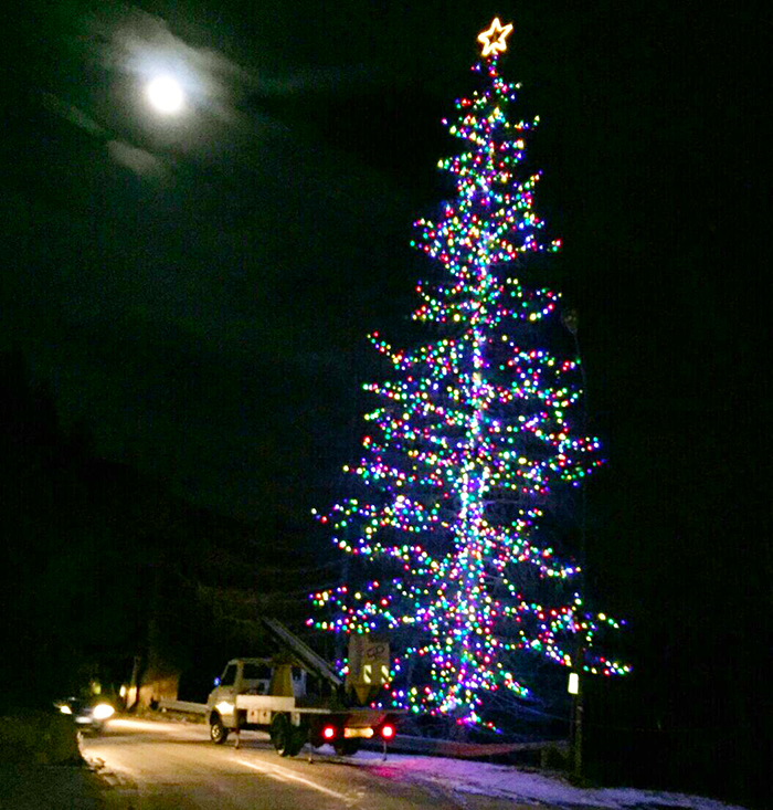 albero natale