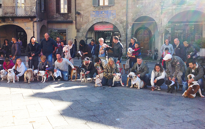 Terzo raduno dei proprietari di Bulldog in piazza Mercato. Foto