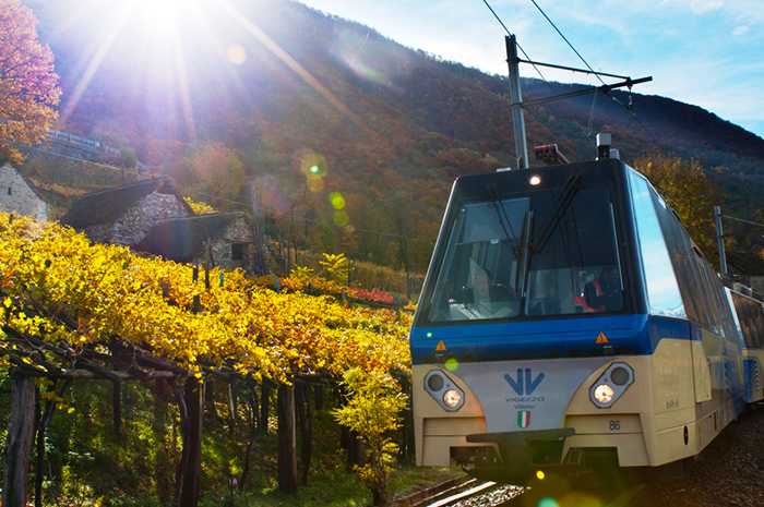 L’autunno sui binari della Vigezzina: al via un nuovo concorso online