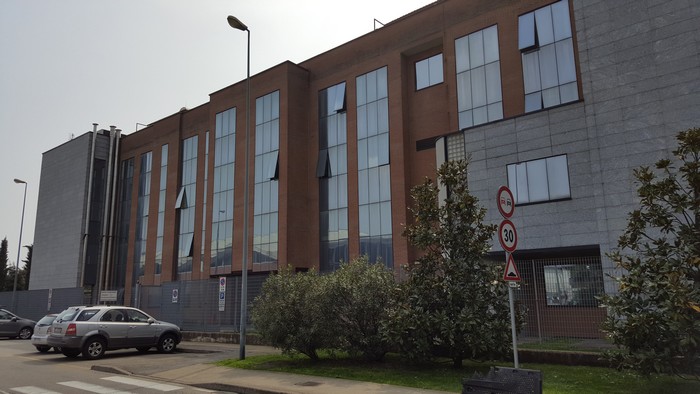Diciottenne morì travolto da un albero. I datori di lavoro patteggiano 10 mesi